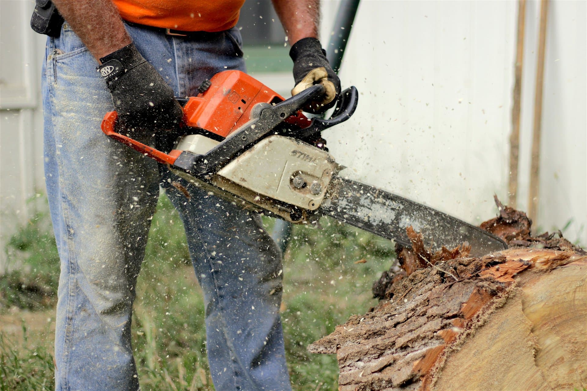 A gas chainsaw resting on a cut log beside a stack of firewood in a residential backyard on a late summer afternoon
