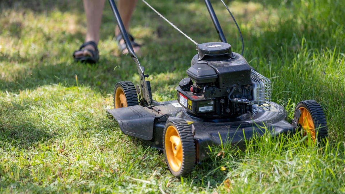 Person pushing a lawn mower through green grass on a sunny spring day